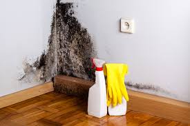 Mold Documentation for Insurance Claims in Mexia, TX